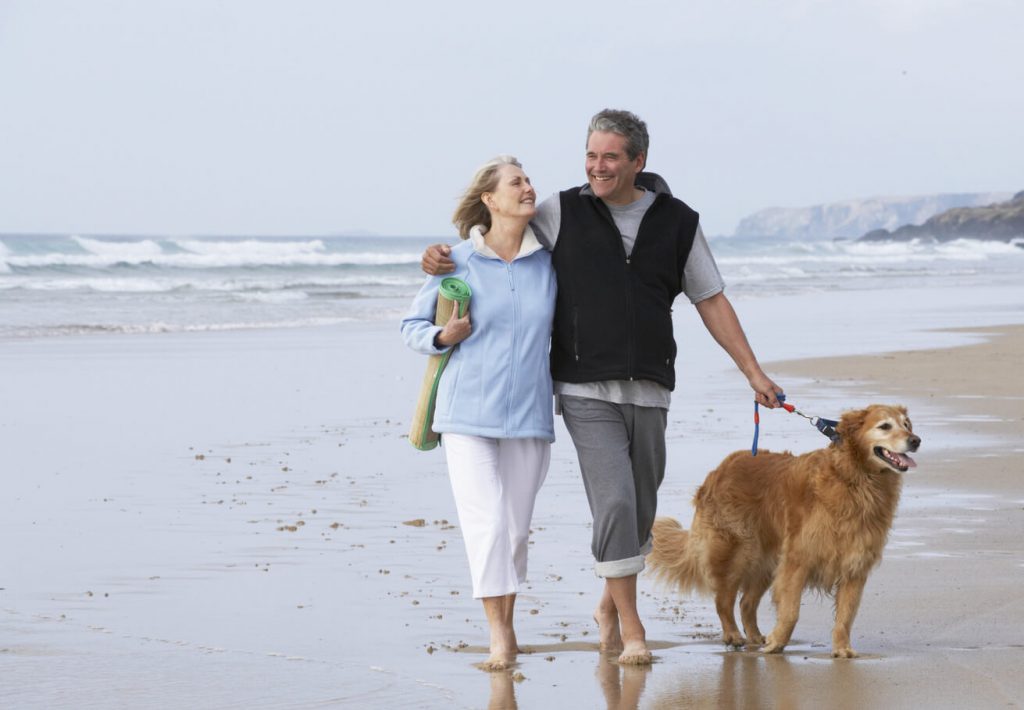 Couple walking their dog on the beach